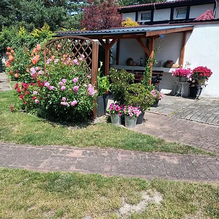 Roze Ustka