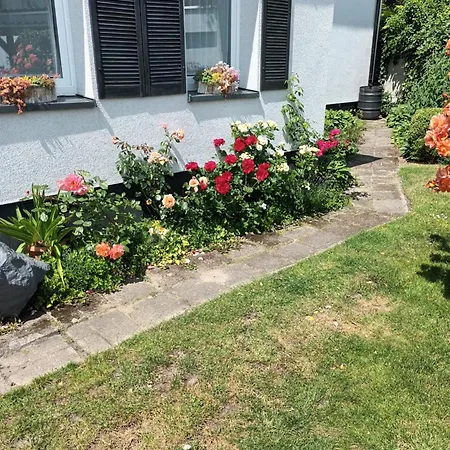Roze Lägenhet