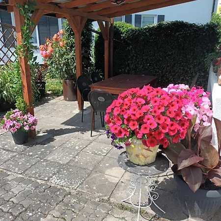 Roze * Ustka